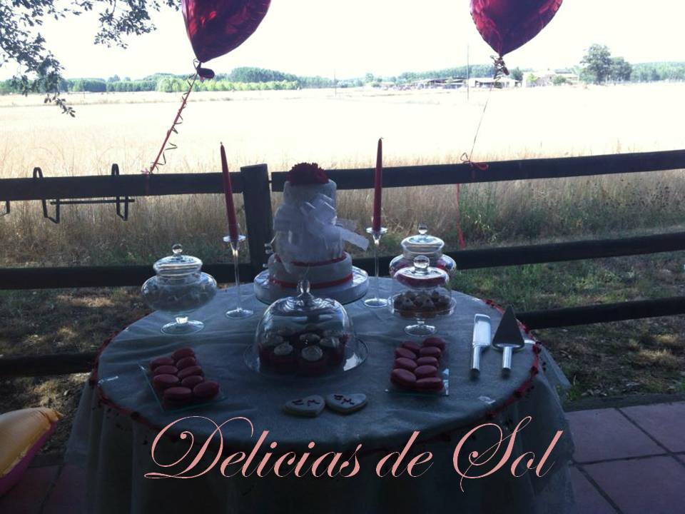 Que vivan los novios - foto 5